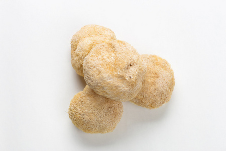 新鲜猴头菇图片