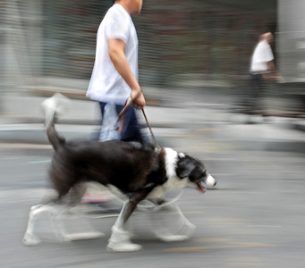 在大街上遛狗