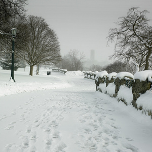 积雪的路上，在公园里