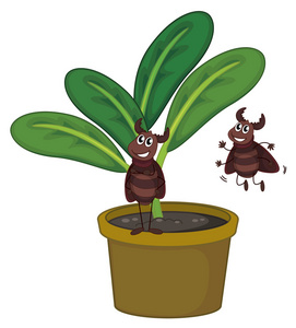 两个顽皮的昆虫与植物