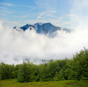 山风景