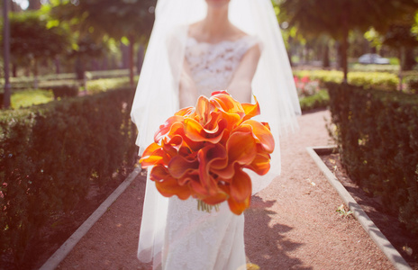 婚礼花束橙色马蹄莲