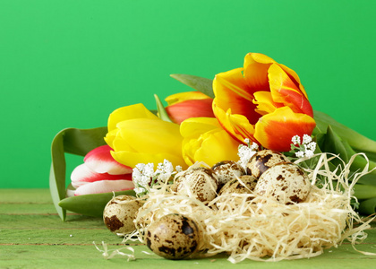 春天复活节静物花卉郁金香和鹌鹑蛋在一个木制的背景上