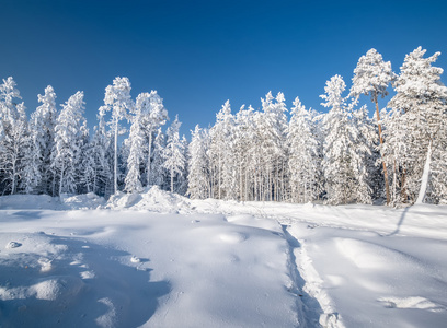 冬季造雪