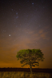 在 ezemvelo 的夜晚星星