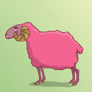 粉红色的羊