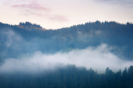 山风景