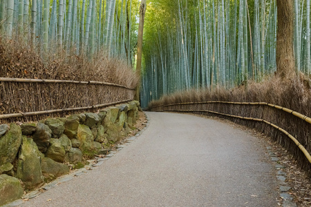 chikurin 没有米奇 竹林苑 在京都岚山