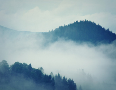 山风景