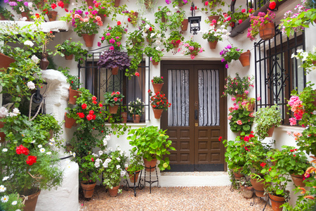 鲜花装饰的老式院落，西班牙，欧洲