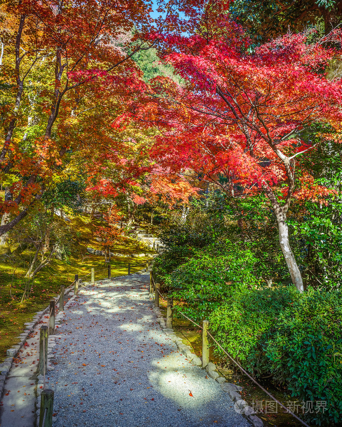 tenryuji sogenchi 池塘花园在京都的教科文组织世界遗产