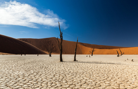 sossusvlei deadvlei 纳米比亚