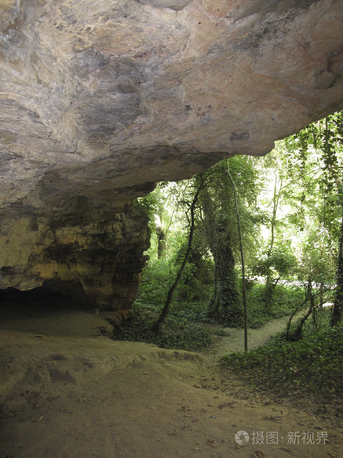 洞穴在大片树木的森林里