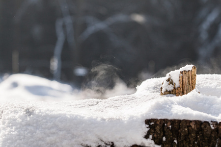 白雪皑皑的树桩