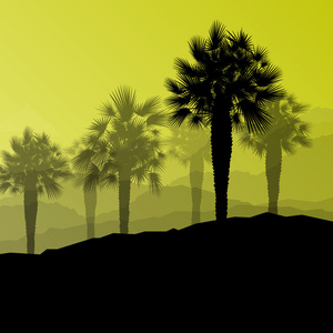棕榈树沙漠绿洲森林剪影野生自然景观