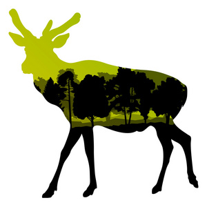 在自然森林景观抽象鹿野生动物剪影