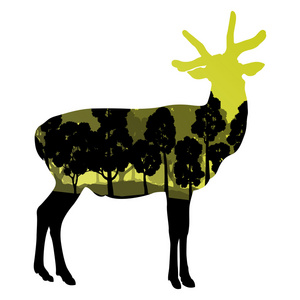 在自然森林景观抽象鹿野生动物剪影