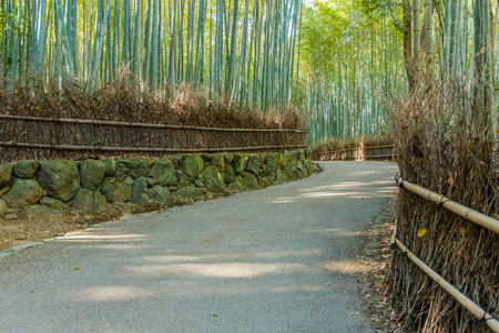 chikurin 没有米奇 竹林苑 在京都岚山