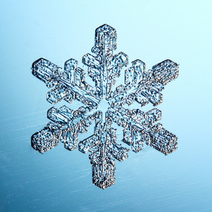 雪花冰晶雪花冰晶照片