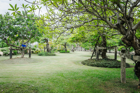 带着新鲜的青草草坪园林造景