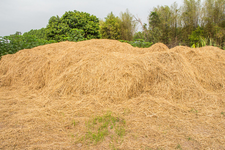 秸秆包图片-秸秆包素材-秸秆包插画-摄图新视界
