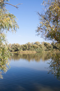 河风景