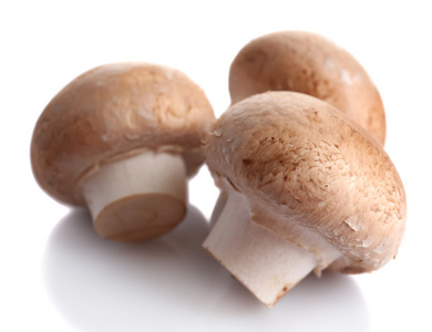 孤立在白纸上的鲜蘑菇