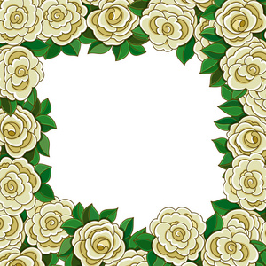 框架的孤立的白色背景上的白玫瑰
