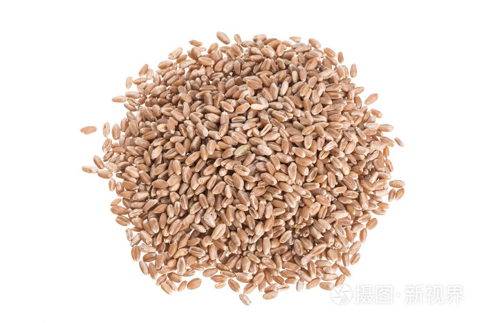 硬粒红小麦浆果