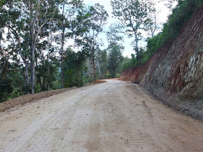 农村公路穿越森林