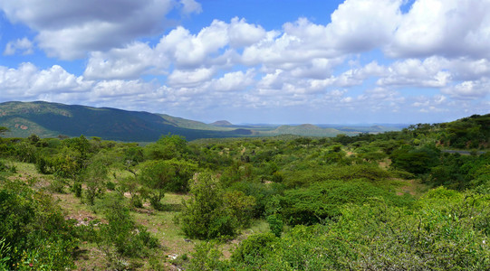 谷。在远处的山林。自然景观。非洲埃塞俄比亚