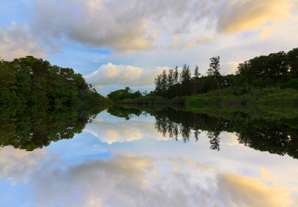 马来西亚沙巴，婆罗洲，日落时的彩云和树木的思考