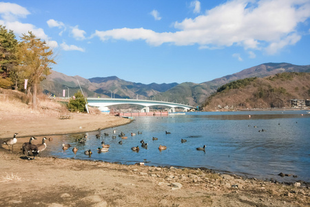 在日本的湖河口湖与河口湖桥