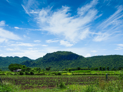 山绿草和蓝色天空风景