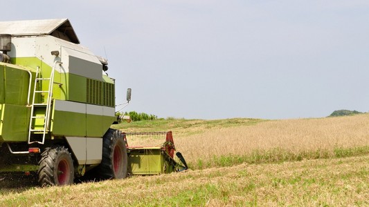 现代联合收割机在收割的麦田
