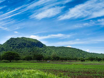 山绿草和蓝色天空风景