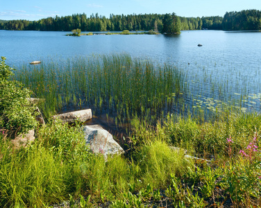 湖夏景色芬兰。