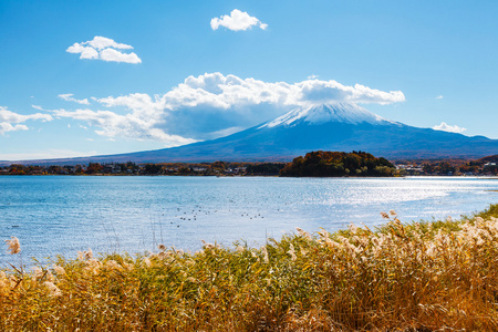 富士山和湖