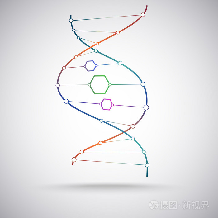 dna分子的颜色