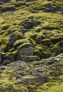 冰岛。南方地区。lakagigar。火山地质景观