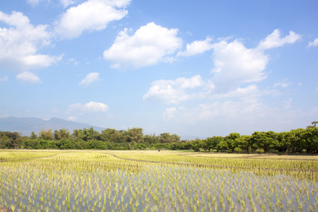 风景背景