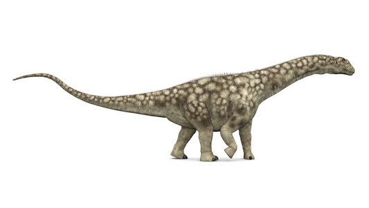 恐龙 argentinosaurus