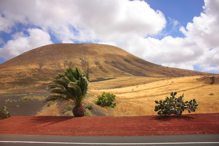 火山景观，兰萨罗特岛