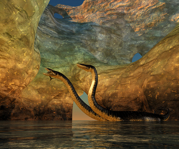 plesiosaurus 洞穴蛇颈龙都在海里游泳plesiosaurus 攻击