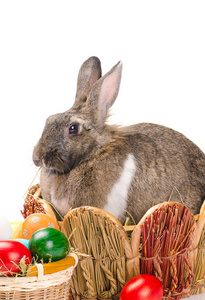 坐在篮子里的复活节兔子