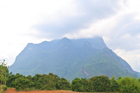 高山景观