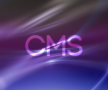 cms 摘要