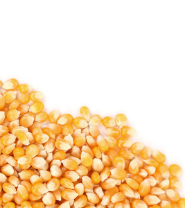 玉米籽粒的特写