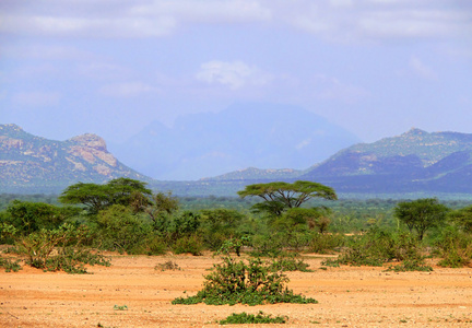 丛林覆盖的山脉。非洲，埃塞俄比亚。景观自然