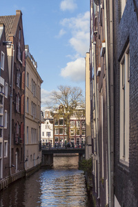 荷兰阿姆斯特丹。在一个阳光明媚的春日的典型城市景观
